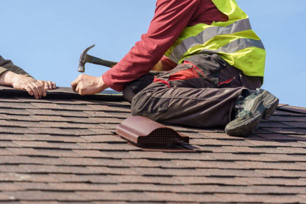 Roof Gutter Cleaning in Ferron, UT